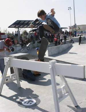sheckler.jpg