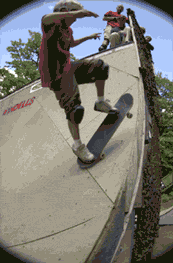 kick_flip_indy_transfer.gif